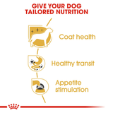 BHN-CHIHUAHUA-LATA---NUTRICION-A-LA-MEDIDA.png