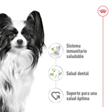 SHN-XSMALL-ADULT---NUTRICION-A-LA-MEDIDA.png