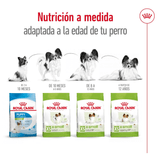 SHN-XSMALL-ADULT---PRODUCTO-ADAPTADO.png