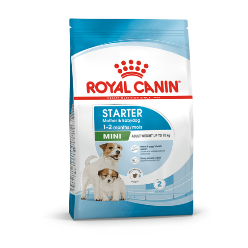 SHN-MINI-STARTER-M-B-DOG.png