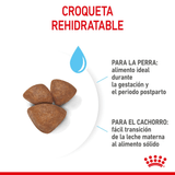 SHN-MINI-STARTER-M-B-DOG---CROQUETA.png