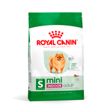 SHN-MINI-INDOOR-ADULT.png