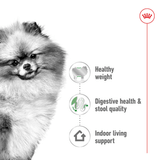 SHN-MINI-INDOOR-ADULT---NUTRICION-A-LA-MEDIDA.png
