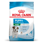 SHN-MINI-PUPPY.png
