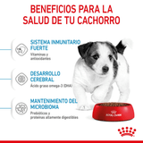 SHN-MINI-PUPPY---BENEFICIOS.png