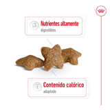 SHN-MINI-ADULT---CROQUETA.png