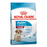 SHN-MEDIUM-PUPPY.png
