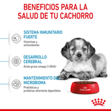 SHN-MEDIUM-PUPPY---BENEFICIOS.png