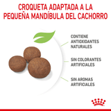 SHN-MEDIUM-PUPPY---CROQUETA.png