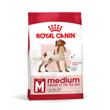 SHN-MEDIUM-ADULT.png