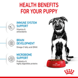 SHN-MAXI-PUPPY---BENEFICIOS.png