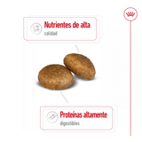 SHN-MAXI-ADULT---CROQUETA.png