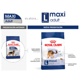 SHN-MAXI-ADULT---PRESENTACION.png