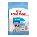 SHN-GIANT-PUPPY.png