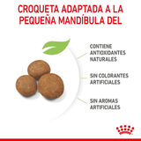SHN-GIANT-PUPPY---CROQUETA.png