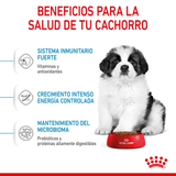 SHN-GIANT-PUPPY---BENEFICIOS.png