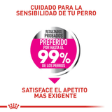 CCN-MINI-EXIGENT---APETITO.png
