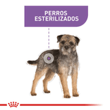 CCN-MINI-STERILISED-ADULT---PERRO.png