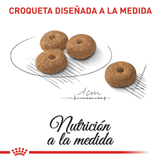 CCN-MINI-STERILISED-ADULT---CROQUETA.png