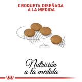 CCN-MINI-DERMA---CROQUETA.png