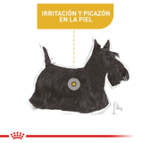 CCN-MINI-DERMA---PERRO.png