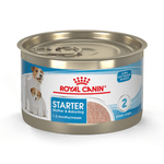 SHN-STARTER-M-B-DOG-LATA.png