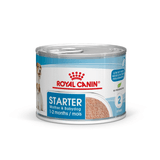SHN-STARTER-M-B-DOG-LATA---LATA.png