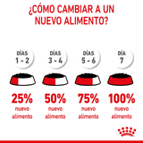 SHN-STARTER-M-B-DOG-LATA---TRANSICION-NUEVO-ALIMENTO.png