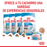 SHN-STARTER-M-B-DOG-LATA---PRODUCTO-ADAPTADO.png