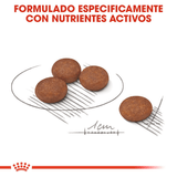 CCN-MINI-DIGESTIVE-CARE---CROQUETA.png