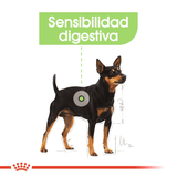 CCN-MINI-DIGESTIVE-CARE---PERRO.png