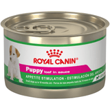 CHN-PUPPY-LATA.png