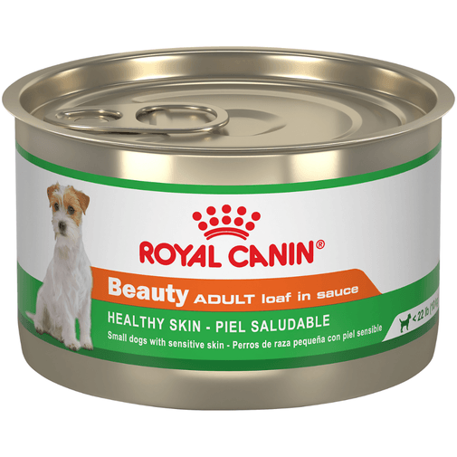 CHN-ADULT-BEAUTY-LATA.png