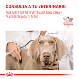 GI_GI-PUPPY-08
