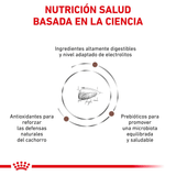 VHN-GASTRO-PUPPY-DOG---BASADA-EN-LA-CIENCIA.png