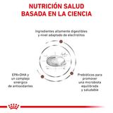 VHN-GASTRO-DOG---BASADA-EN-LA-CIENCIA.png