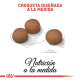 CCN-MEDIUM-DIGESTIVE---CROQUETA.png