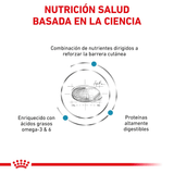 VHN-SKIN-CARE-DOG---BASADA-EN-LA-CIENCIA.png