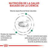 VHN-SATIETY-SMALL-DOG---BASADA-EN-LA-CIENCIA.png