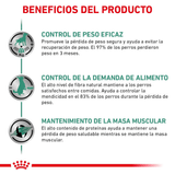 VHN-SATIETY-DOG---BENEFICIOS.png