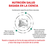 VHN-SATIETY-DOG---BASADA-EN-LA-CIENCIA.png