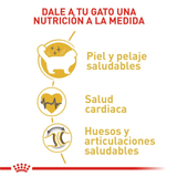 FBN-RAGDOLL---NUTRICION-A-LA-MEDIDA.png