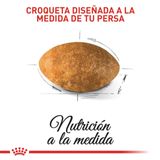Royal-Canin-Persian-Croqueta