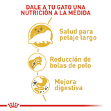 FBN-PERSIAN---NUTRICION-A-LA-MEDIDA.png