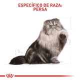 Royal-Canin-Persian-Raza