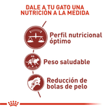 FHN-ADULT-FIT---NUTRICION-A-LA-MEDIDA