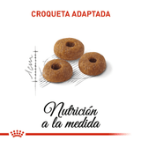 FHN-ADULT-FIT---CROQUETA
