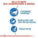 FHN-INDOOR-7----NUTRICION-A-LA-MEDIDA