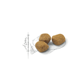 FHN-INDOOR-7----CROQUETA