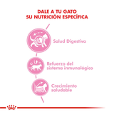 FHN-KITTEN---NUTRICION-A-LA-MEDIDA